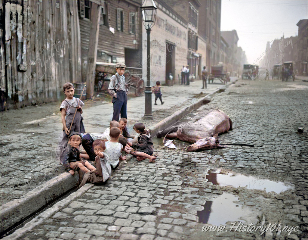 Explore a poignant 1900-1903 NYC photograph capturing children's play near a dead horse, highlighting the city's sanitation and reform efforts
