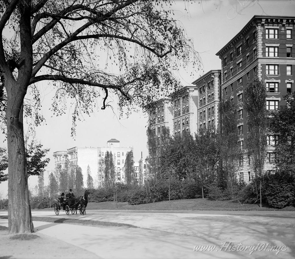 Horse and carriage making its way along Riverside Drive, an avenue which was opened in 1880 and was well-used by walkers, bikers, and drivers.