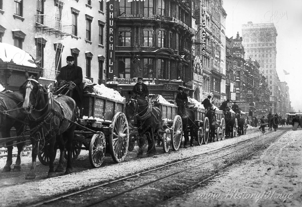Photograph shows a line of horse-drawn wagons hauling snow after a blizzard in New York City.