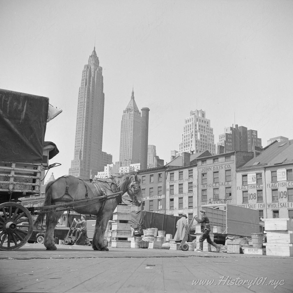 Photograph of dock workers moving cargo at Fulton Fish Market with Manhattans' downtown skyscrapers visible in the background.