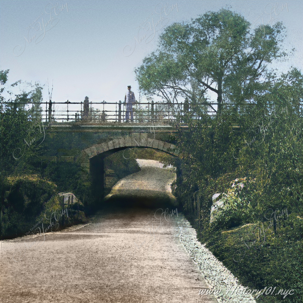 Explore George Stacy's ca. 1865 photograph of Central Park, featuring a man on a bridge above an arched footpath, showcasing historic NYC