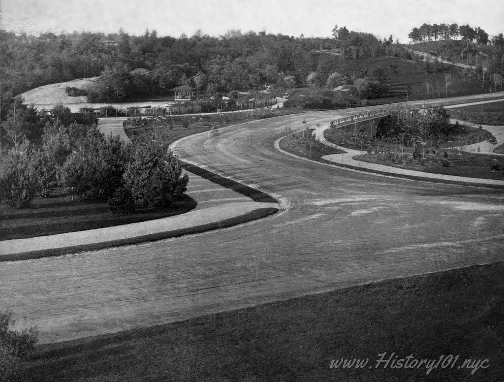 A photograph of Central Park in its pristine and far less developed stage, compared to what we know today.
