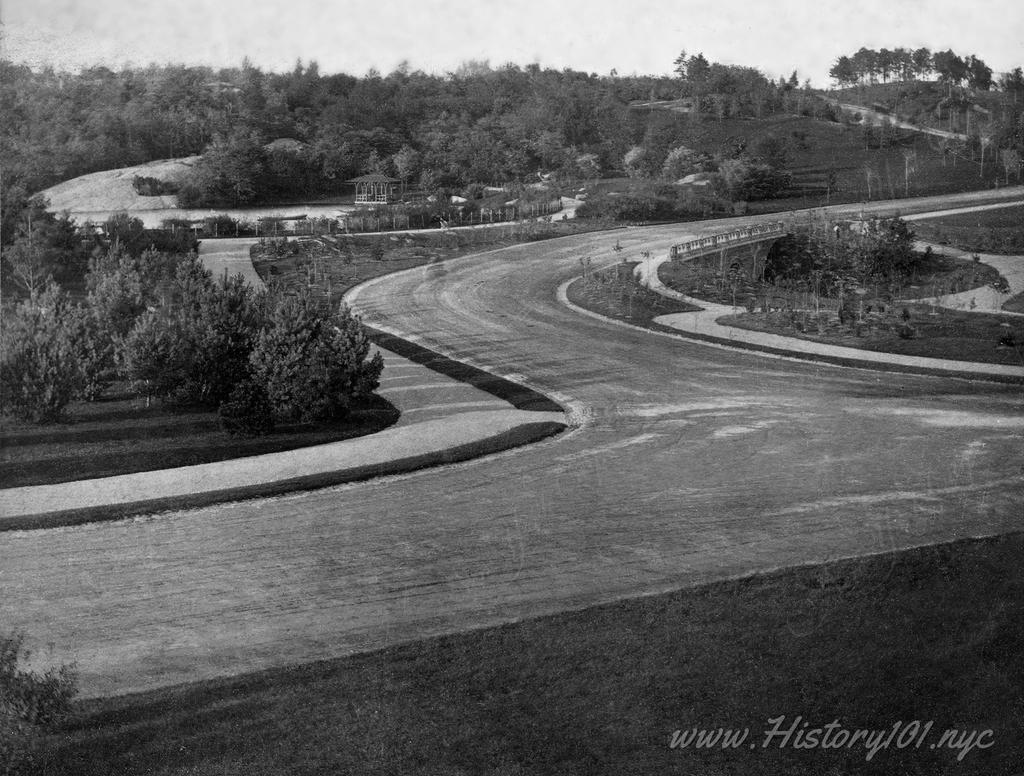 A photograph of Central Park in its pristine and far less developed stage, compared to what we know today.