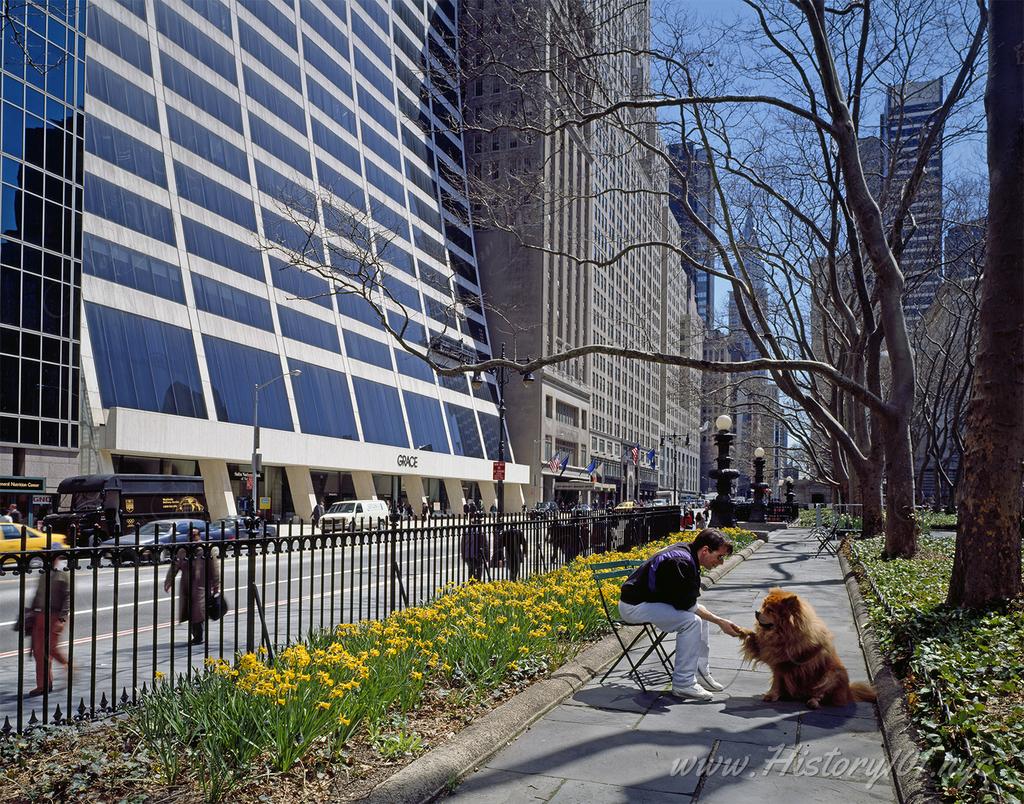 Discover the tranquil morning ambiance of Bryant Park in NYC, where urban life and nature blend seamlessly, offering a unique community space in the heart of Manhattan