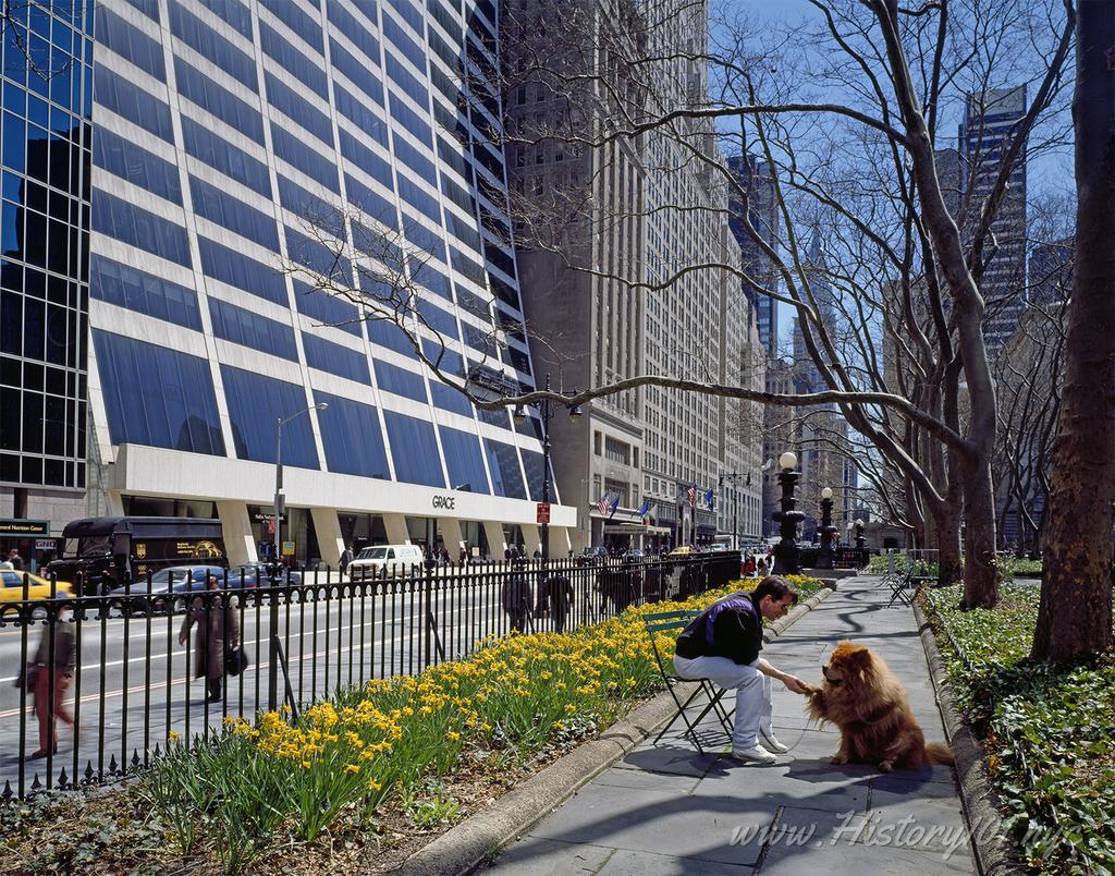 Photograph taken inside Brant Park during the spring.