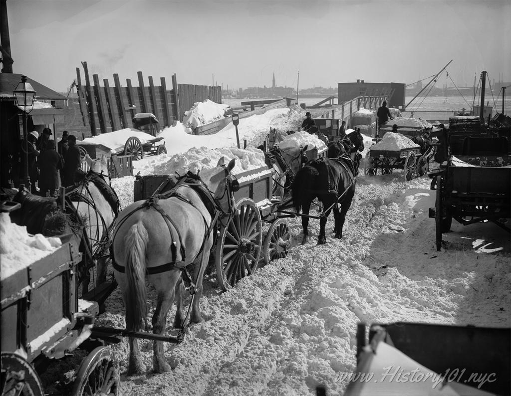 Photograph of snow carts lined up next to the river to dump snow after a blizzard.