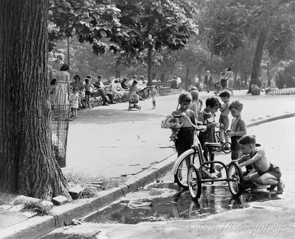 Photograph of youngsters with tricycles stopped at a puddle near a curb in Washington Square with people on benches in midground, trees behind them.
