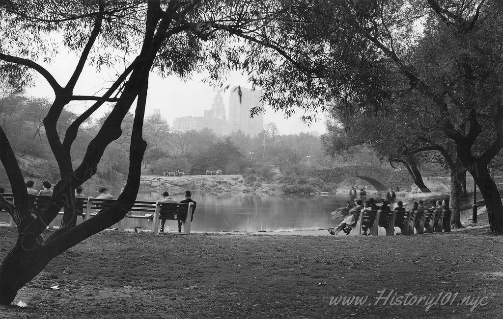 Photograph of men and women seated beneath the trees, enjoying the view across Central Park Pond.