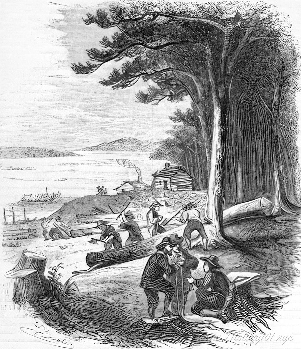 Illustration of merchants trading and felling trees along the New York Harbor.